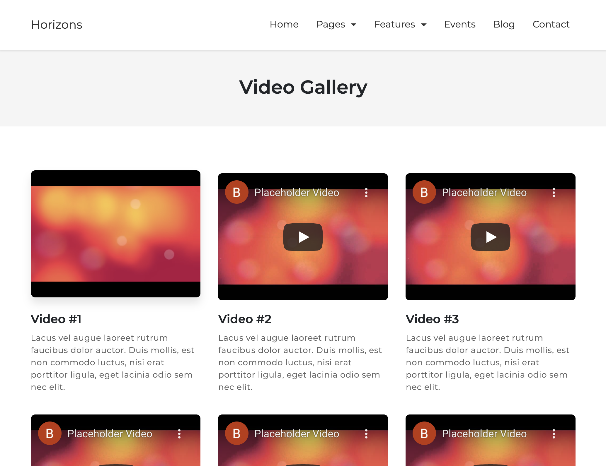 gallery-video